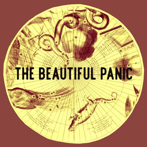The Beautiful Panic.com